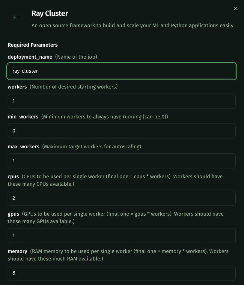 Ray template config options